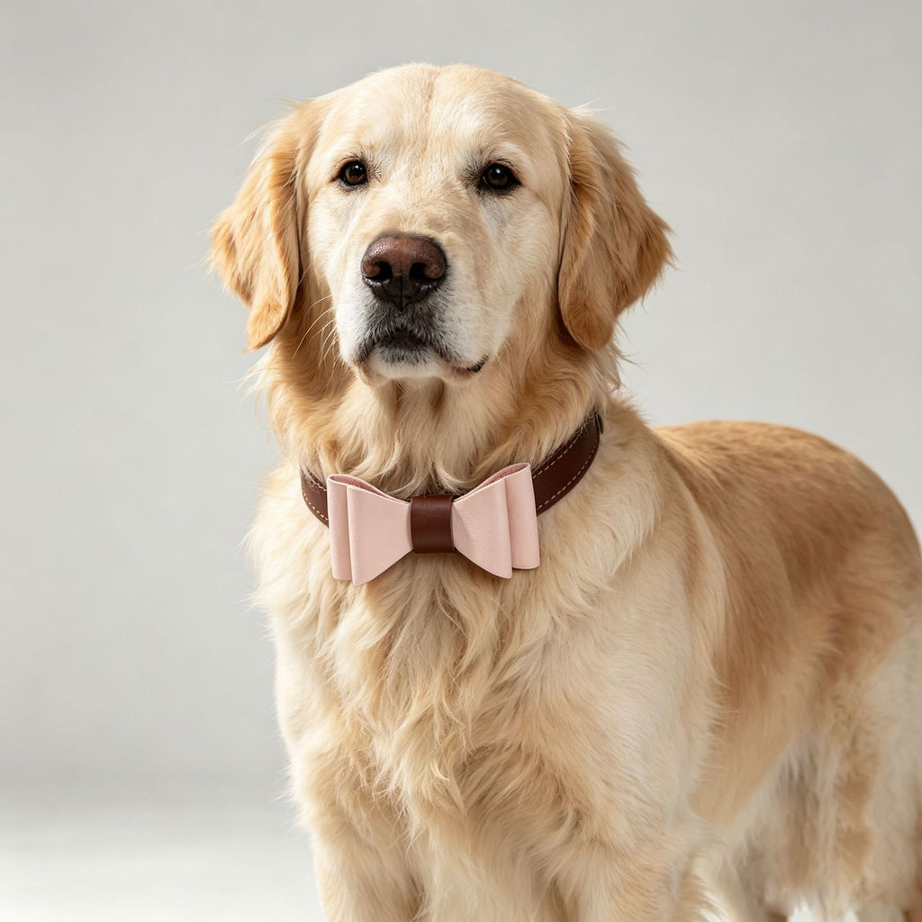 Genuine leather pet Dog Collar with Detachable Bow Tie Full‑Grain Heavy‑Duty Adjustable pet collar for small Medium Large dogs