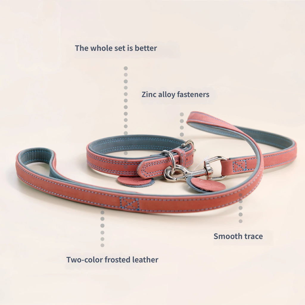 Frosted Genuine Leather Dog Collar and Leash Two-Tone Contrast Design Dog Leash with Dual Hooks dog walking collar and leash