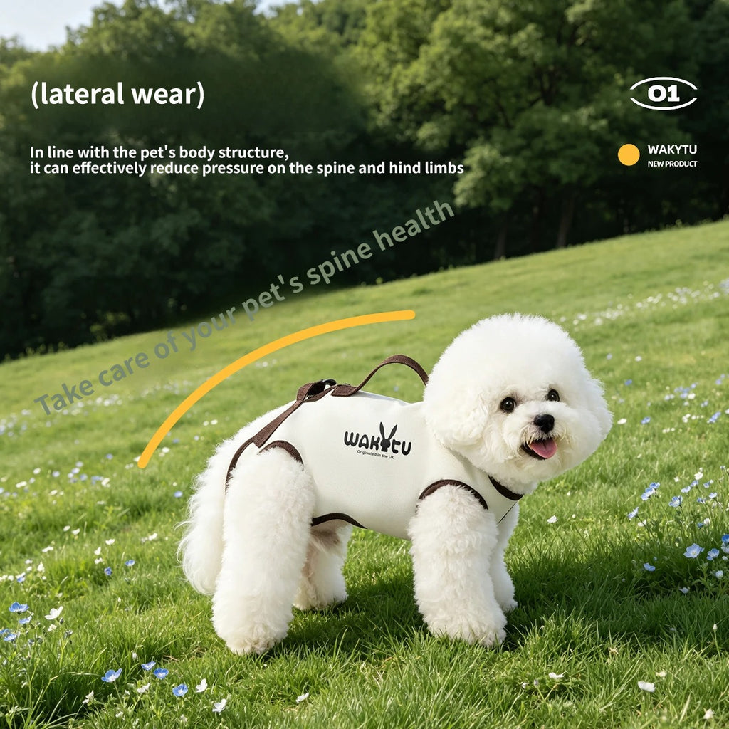 2-in-1 Pet Carrier & Harness with leash set Pet Sling Carrier for Small Dogs Cats soft sided pet carrier bag pet chest harness