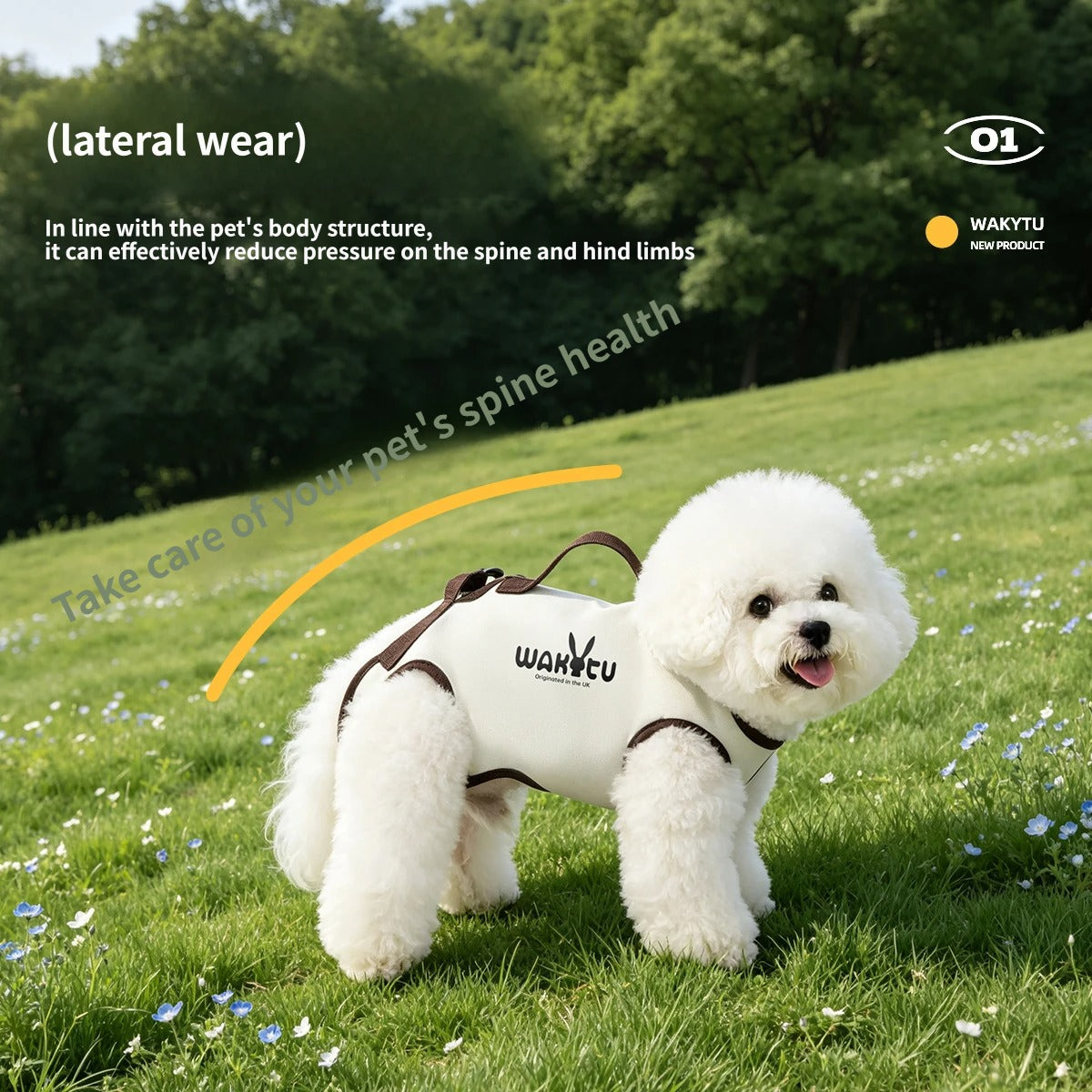 2-in-1 Pet Carrier & Harness with leash set Pet Sling Carrier for Small Dogs Cats soft sided pet carrier bag pet chest harness