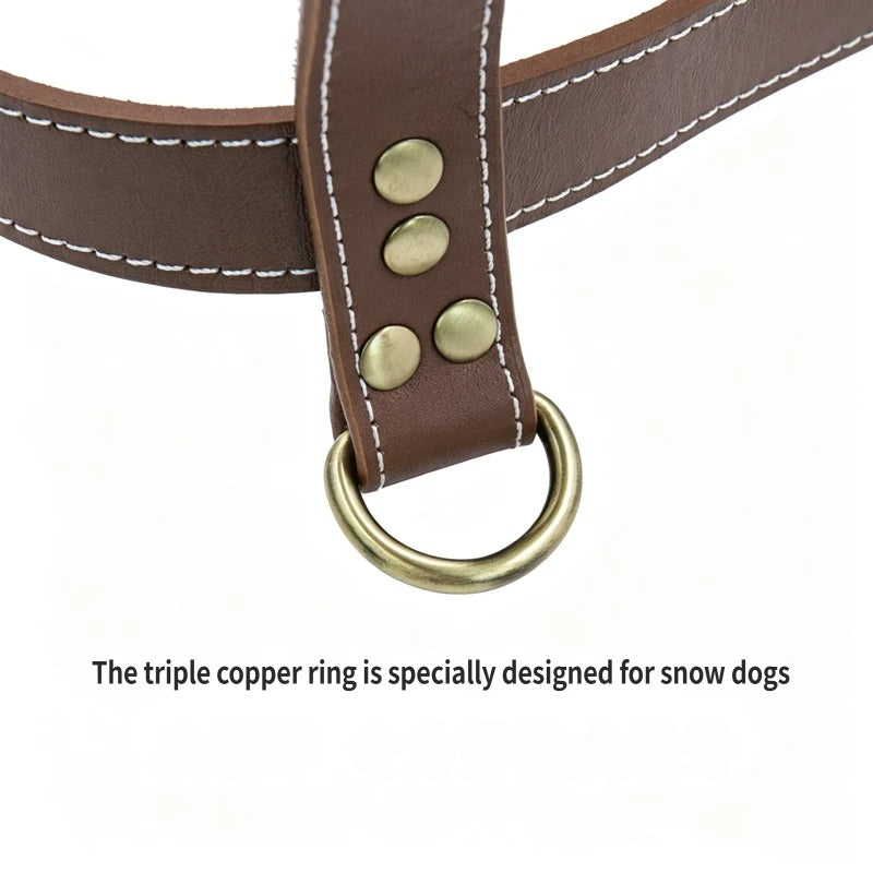 genuine leather harness for for Sled Dogs Adjustable Heavy Duty Pet Vest Harness Full-Grain Cowhide vest harness with 3 D-Rings