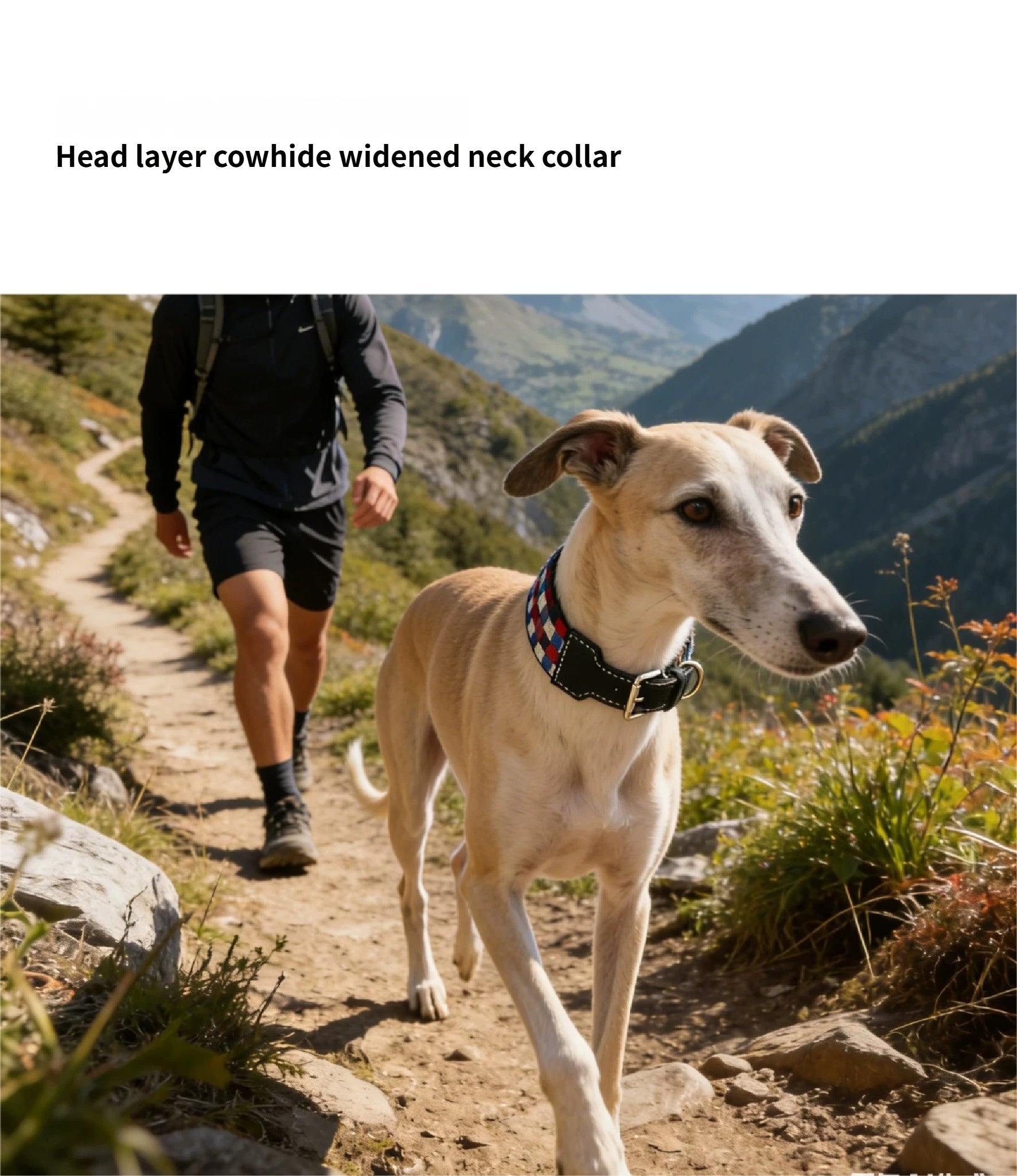 3.8cm Wide Genuine Leather Dog Collar Woven webbing Checkered Pet leash Boho style Adjustable Grid Dog Collar and leash
