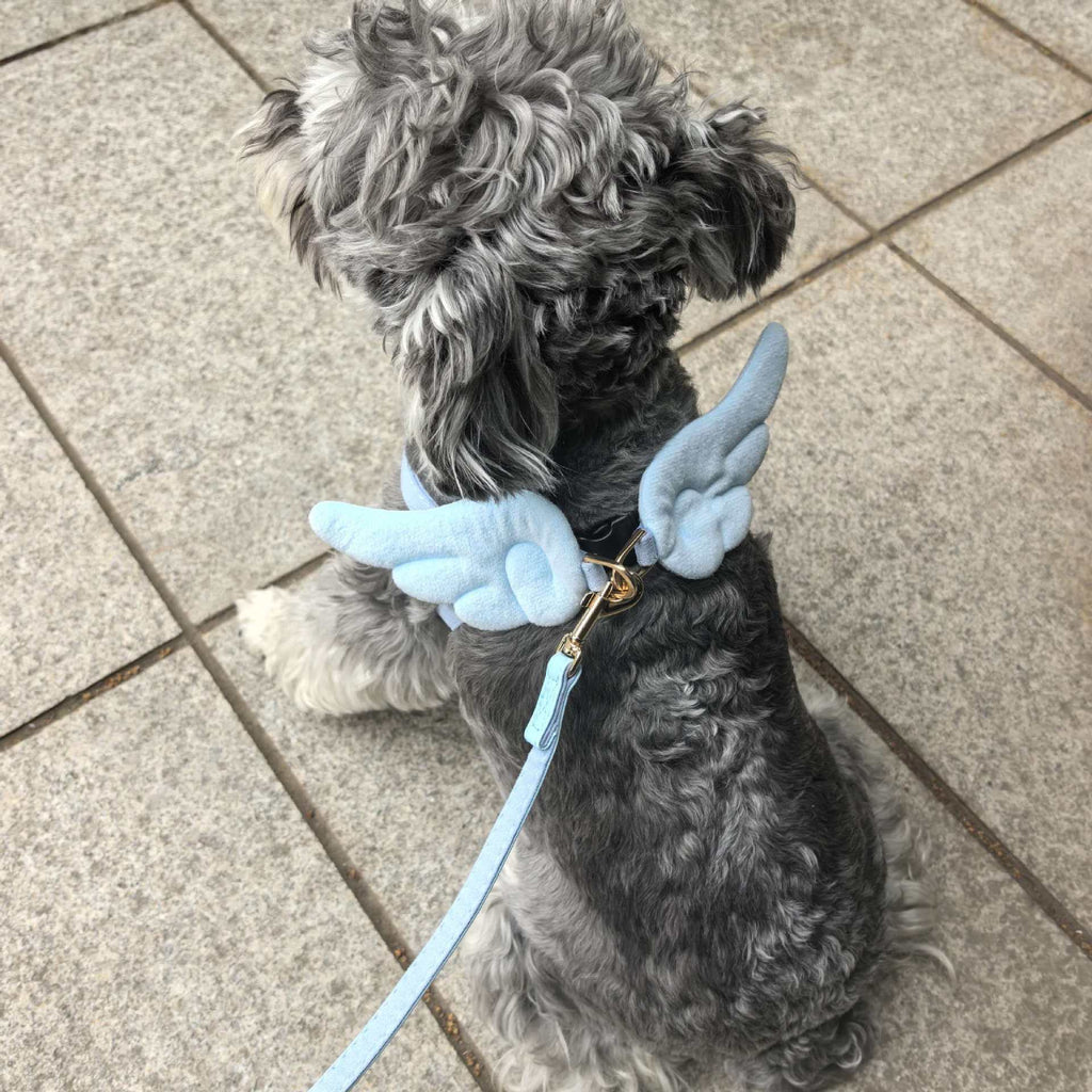 Dog Harness and Leash Set with Angel Wings & Bow Decor Lightweight pet vest harness Soft walking harness for small medium dogs