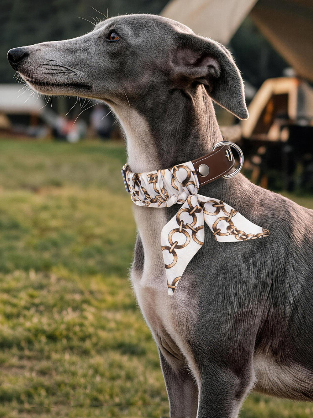 Leather dog Collar with Decorative Scarf Adjustable Daily dog Walking Scarf Collar Collar cat heavy duty no pull Stylish collar