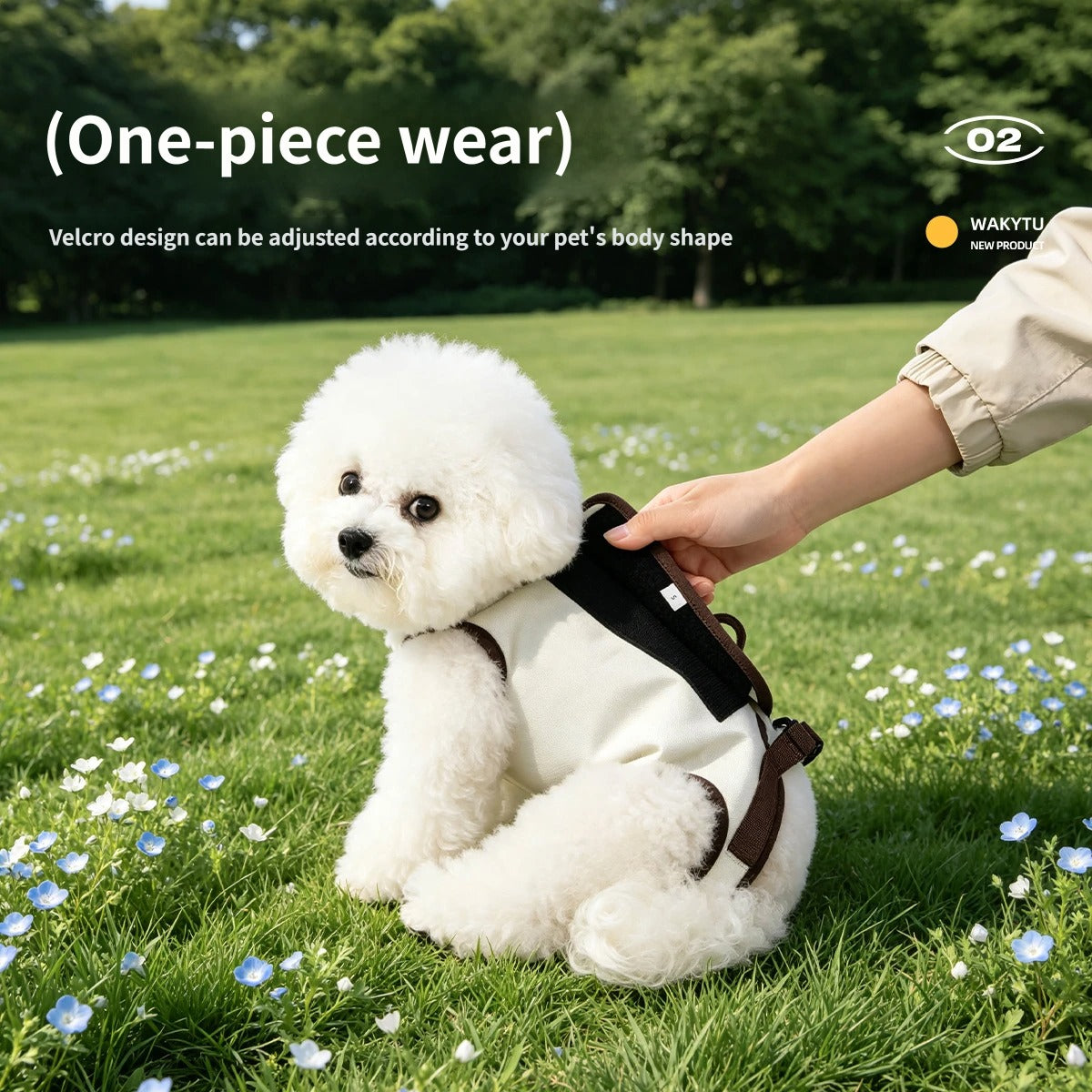 2-in-1 Pet Carrier & Harness with leash set Pet Sling Carrier for Small Dogs Cats soft sided pet carrier bag pet chest harness