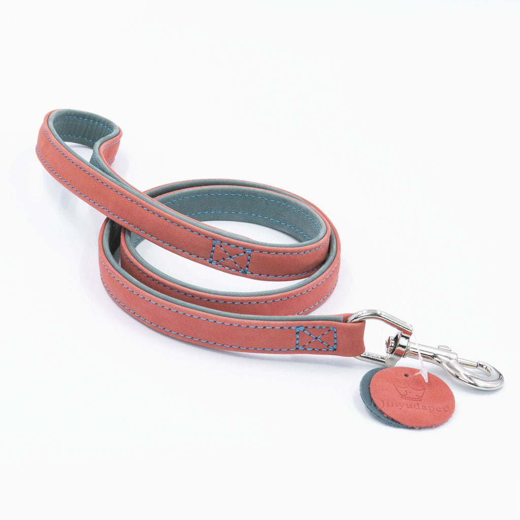 Frosted Genuine Leather Dog Collar and Leash Two-Tone Contrast Design Dog Leash with Dual Hooks dog walking collar and leash