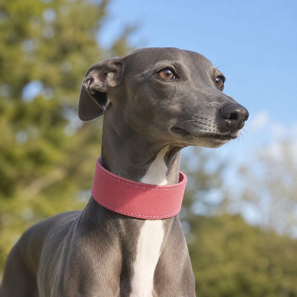 Genuine Full‑Grain leather Dog Collar 5cm wide Thickened pet collar for Medium Large dogs Heavy‑Duty Adjustable dog Collar
