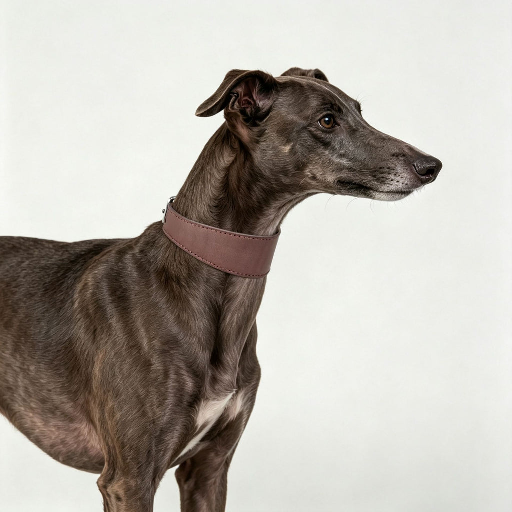 full‑Grain Genuine Leather Dog Collar Wide 4cm 5cm 6cm Adjustable Tapered Collar for Greyhound Whippet Sighthound Long Neck Dogs