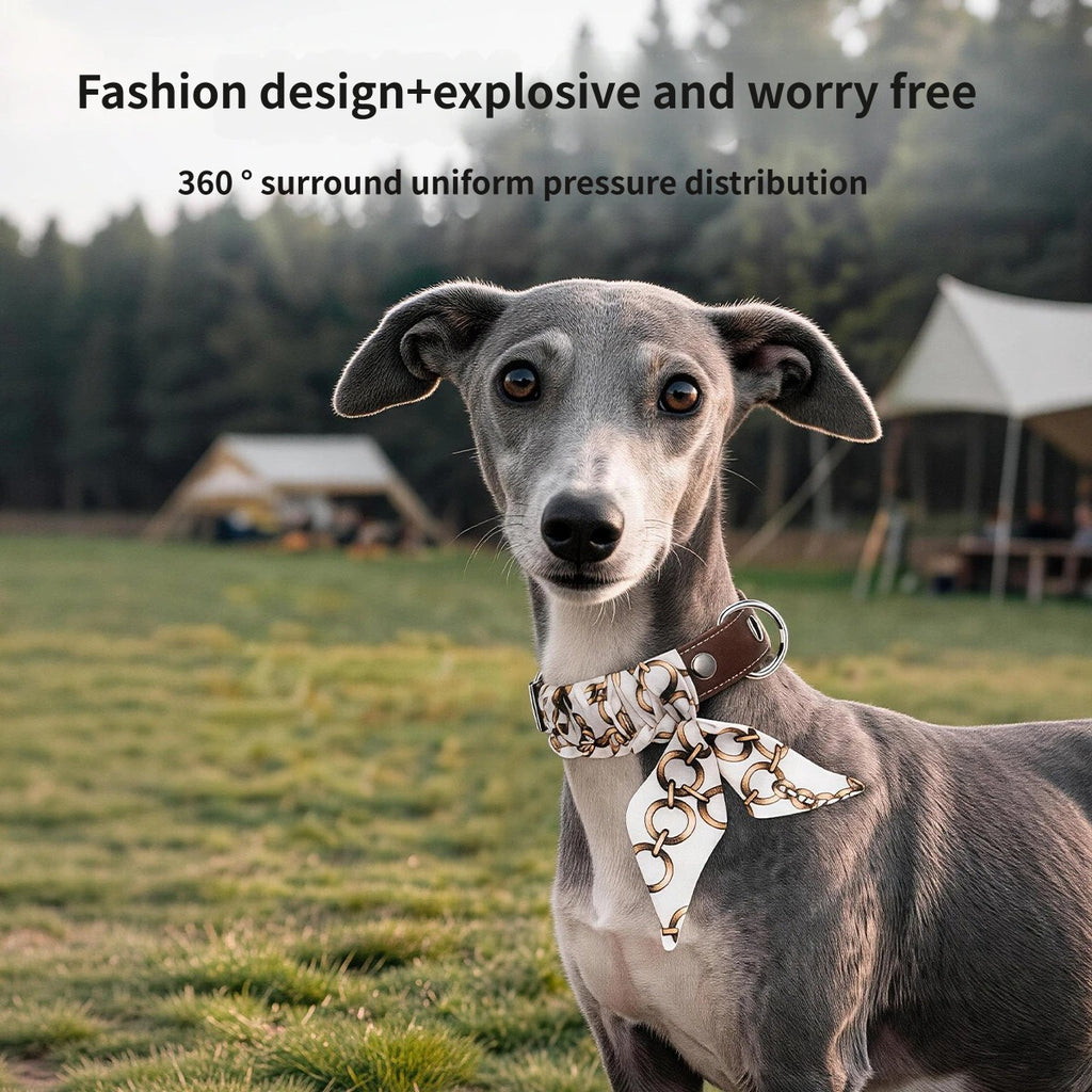 Leather dog Collar with Decorative Scarf Adjustable Daily dog Walking Scarf Collar Collar cat heavy duty no pull Stylish collar