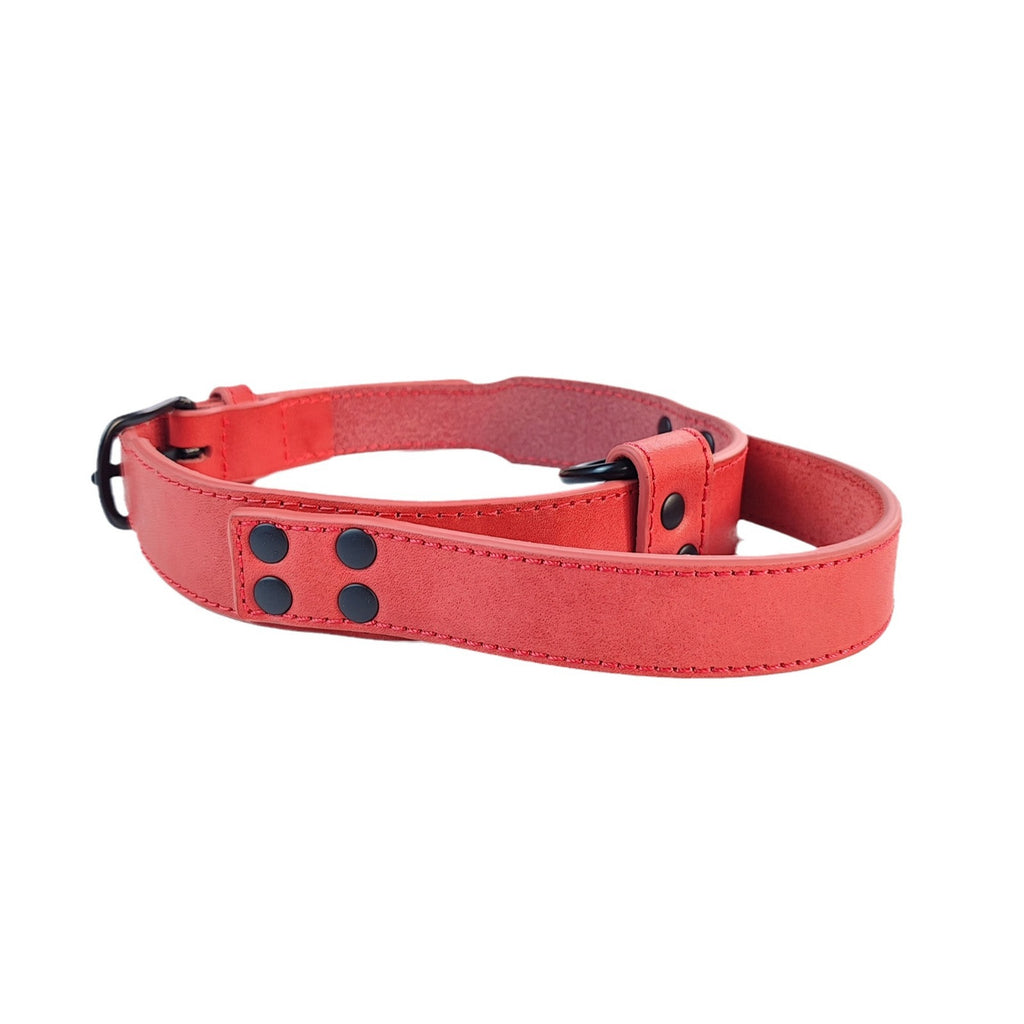 Genuine Full Grain Leather Dog Collar with Traffic Handle Adjustable Heavy Duty Training Collar for Medium Large Dogs