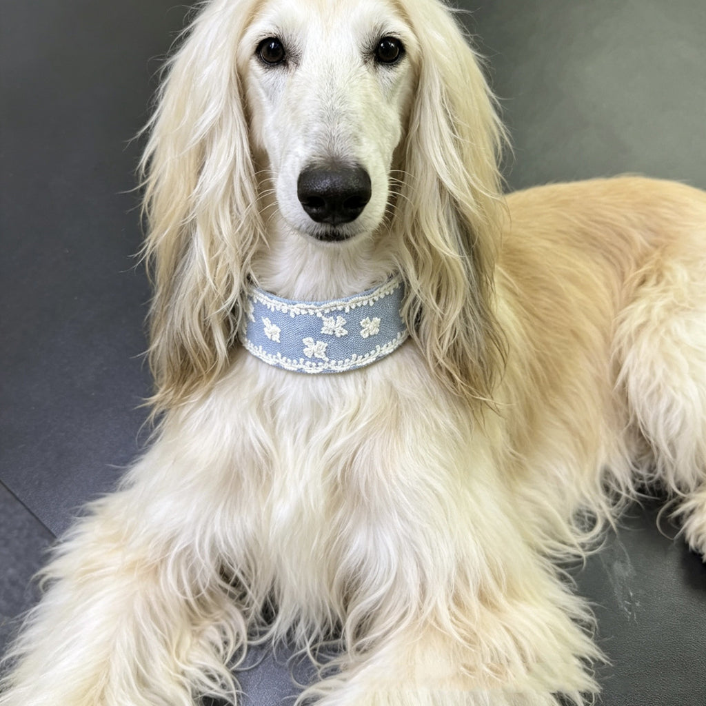3.8cm Wide Soft Lace Embroidered Pet Collar Full‑Grain Genuine Leather Dog Collar adjustable Heavy‑Duty Dog walking Collar