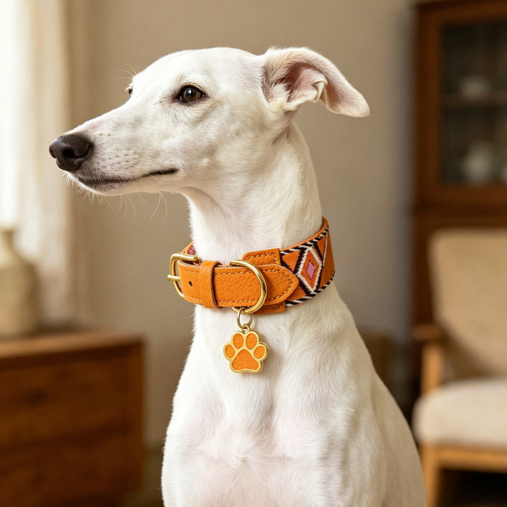 genuine Leather with 3.8cm wide webbing Dog Collar and Leash Geometric Woven Adjustable Pet Collar dog Walking Collar Leash