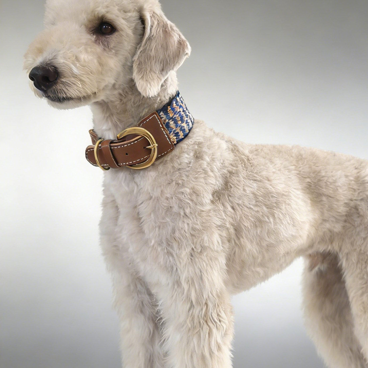 3.8cm Wide Genuine Leather webbing Dog Collar Bohemian Braided Woven Dog Collar and leash Adjustable Soft Leather Pet Collar