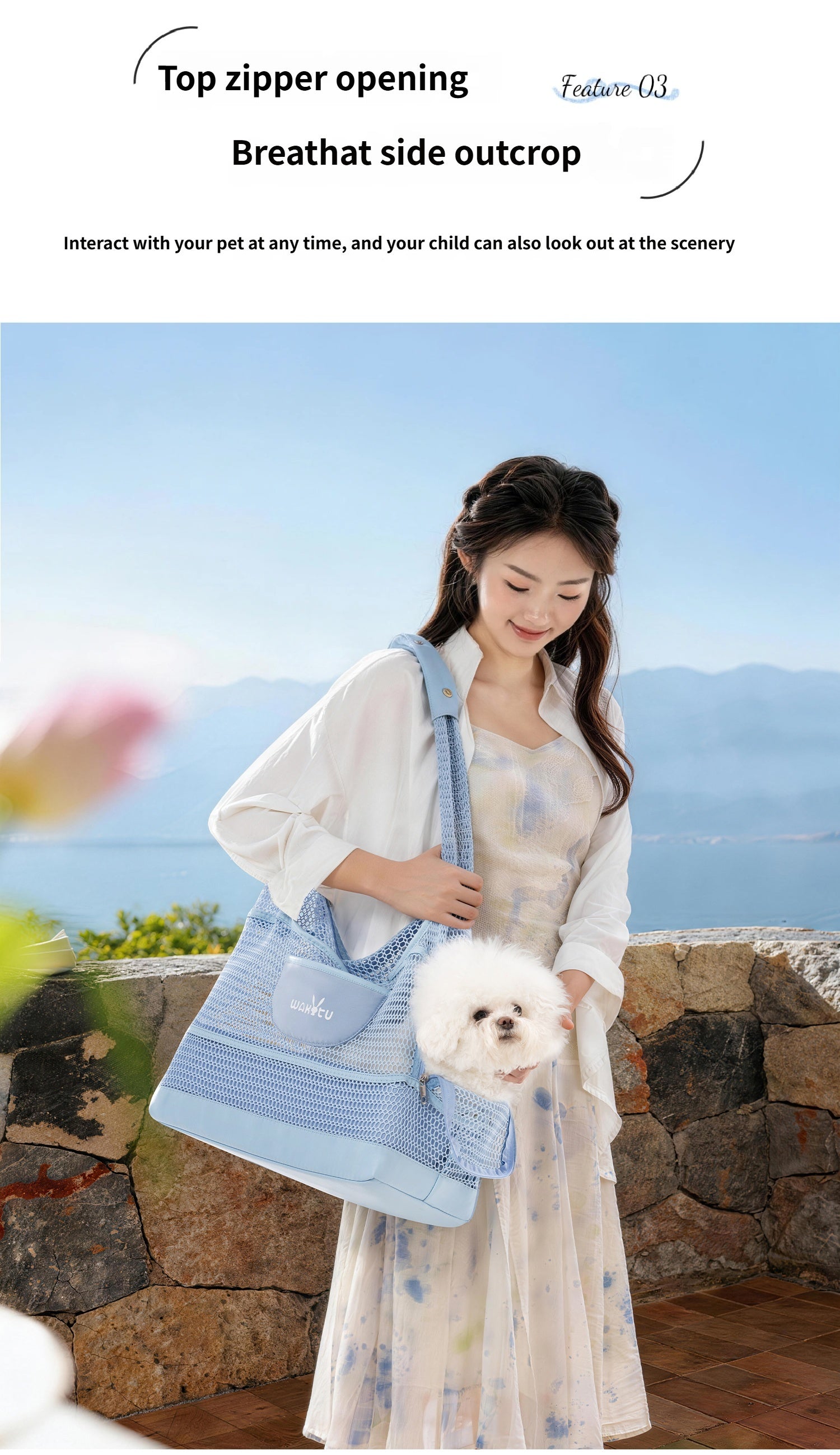 Breathable Mesh Pet Bag for Summer