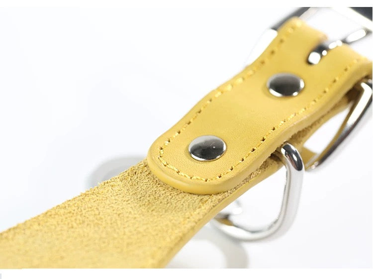 genuine leather Tapered dog collar Extra Wide Pet dog collar for long neck Greyhound Saluki Deerhound Lurcher Whippet Dachshund