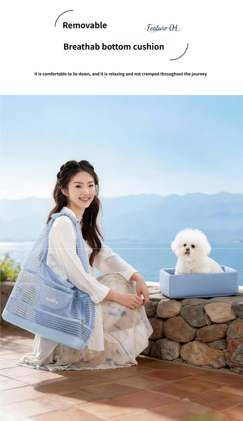 Breathable Mesh Pet Bag for Summer