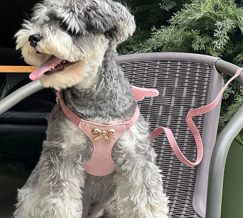 Dog Harness and Leash Set with Angel Wings & Bow Decor Lightweight pet vest harness Soft walking harness for small medium dogs