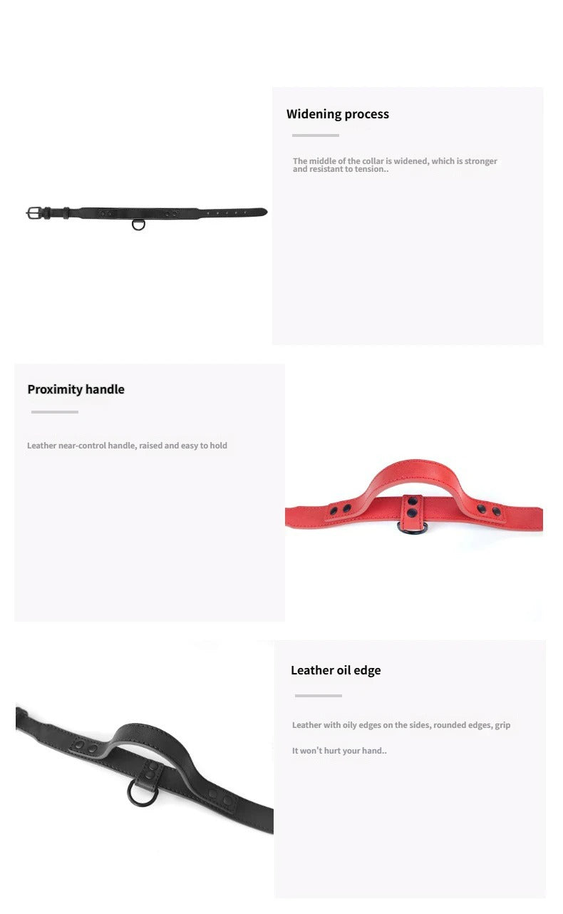 Genuine Full Grain Leather Dog Collar with Traffic Handle Adjustable Heavy Duty Training Collar for Medium Large Dogs