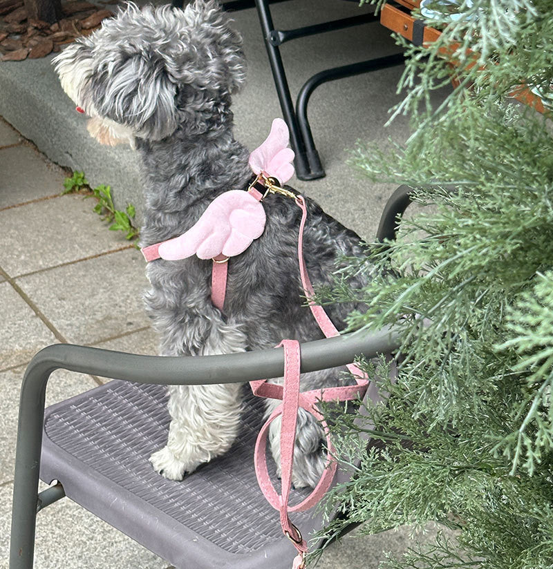 Dog Harness and Leash Set with Angel Wings & Bow Decor Lightweight pet vest harness Soft walking harness for small medium dogs