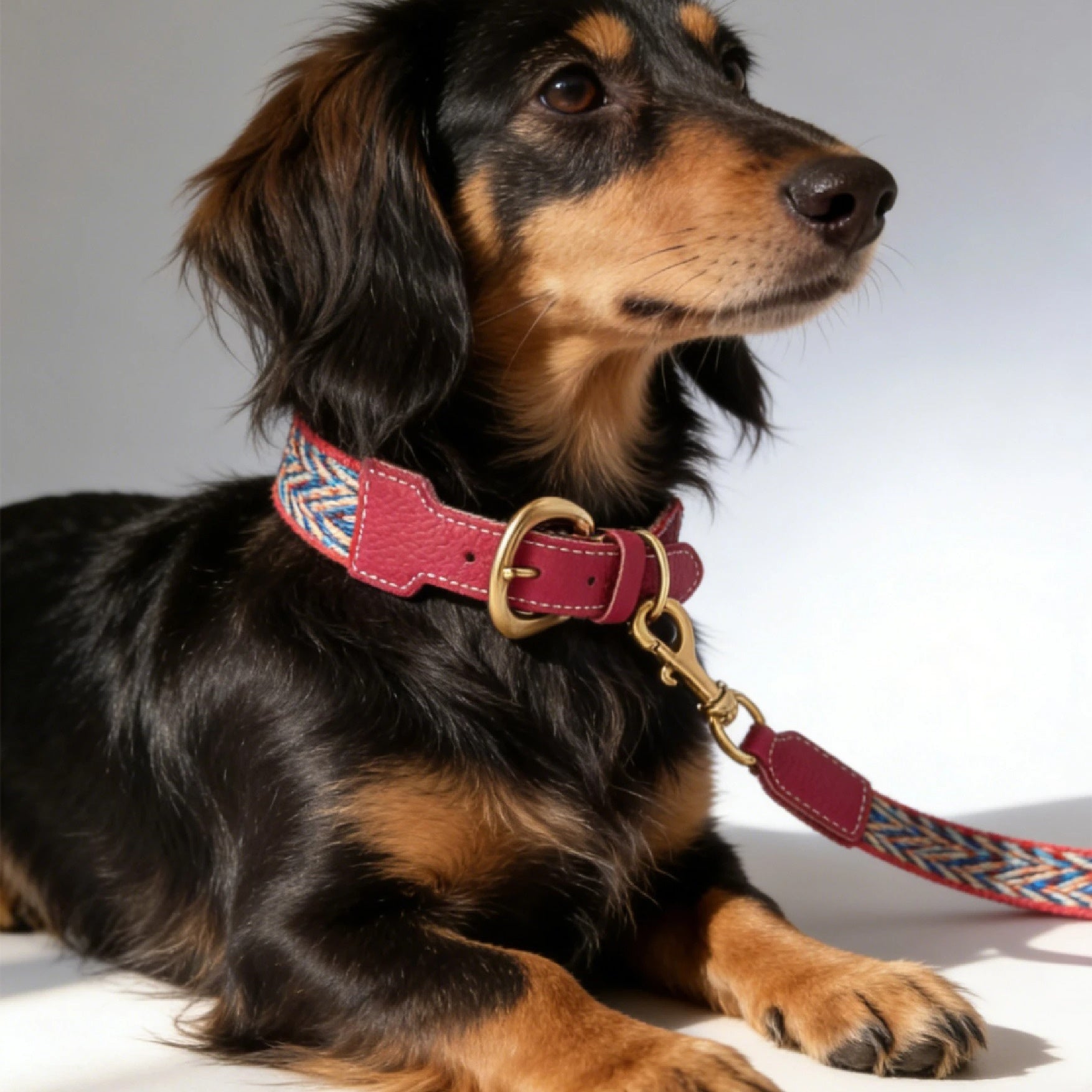 3.8cm Wide Genuine Leather webbing Dog Collar Bohemian Braided Woven Dog Collar and leash Adjustable Soft Leather Pet Collar