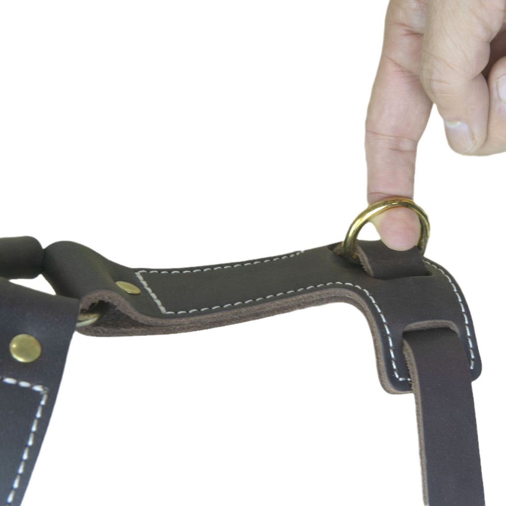 Luxury Genuine Leather Dog Harness Handcrafted Soft Full Grain Leather Pet Vest Harness Adjustable no-pull dog walking harness