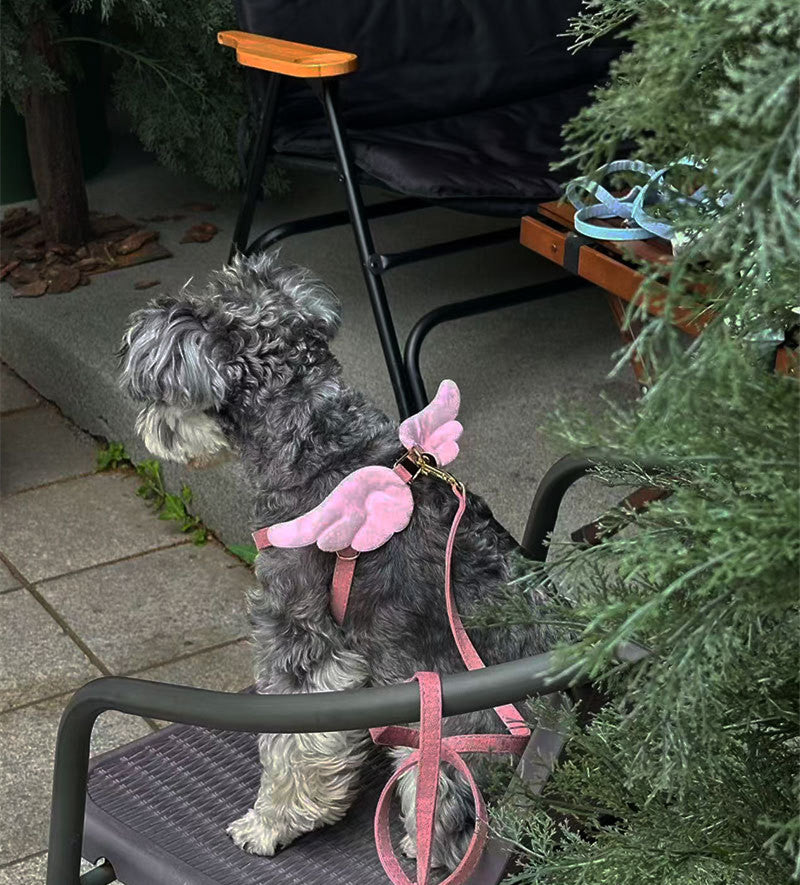 Dog Harness and Leash Set with Angel Wings & Bow Decor Lightweight pet vest harness Soft walking harness for small medium dogs