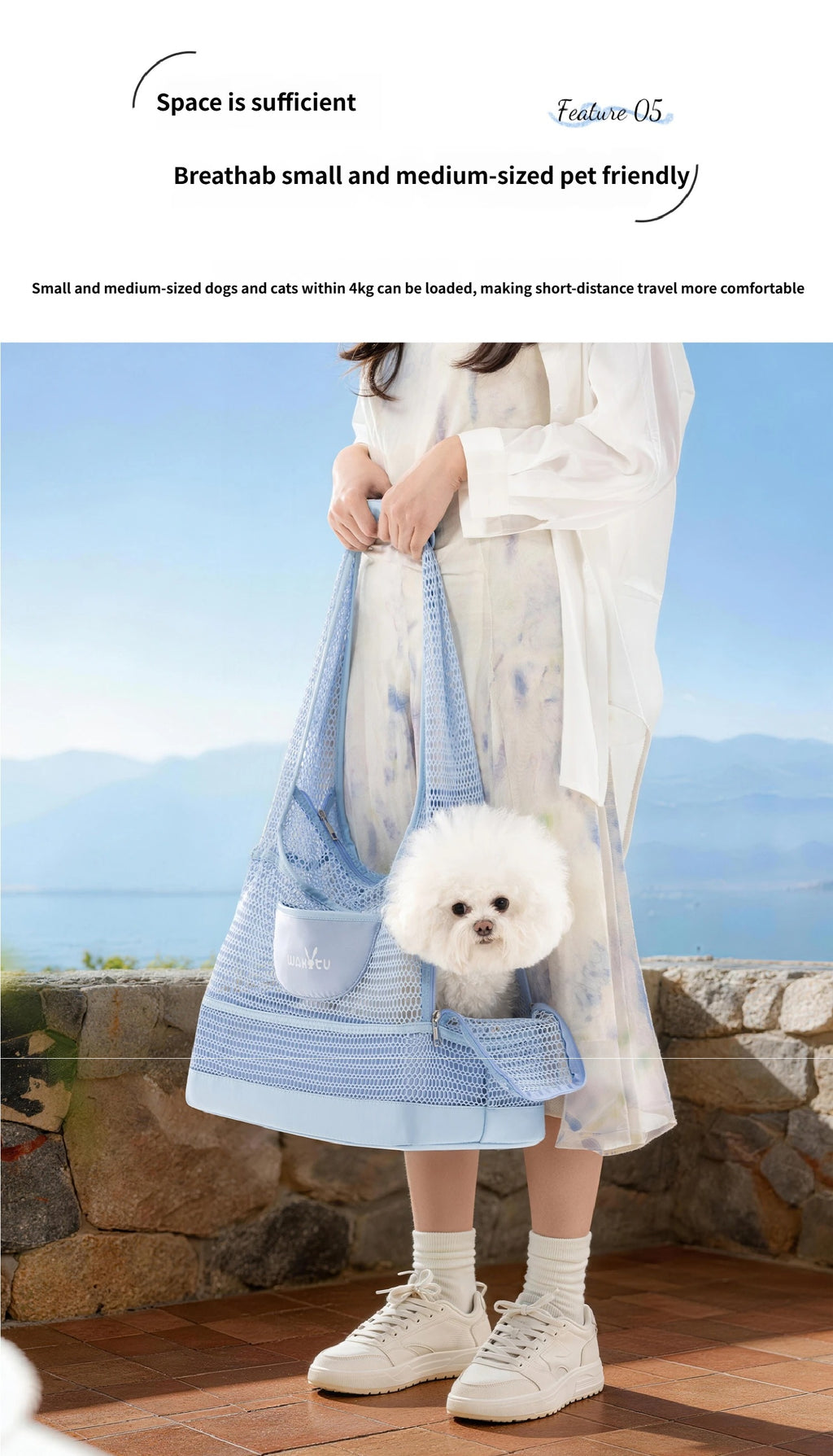 Breathable Mesh Pet Bag for Summer
