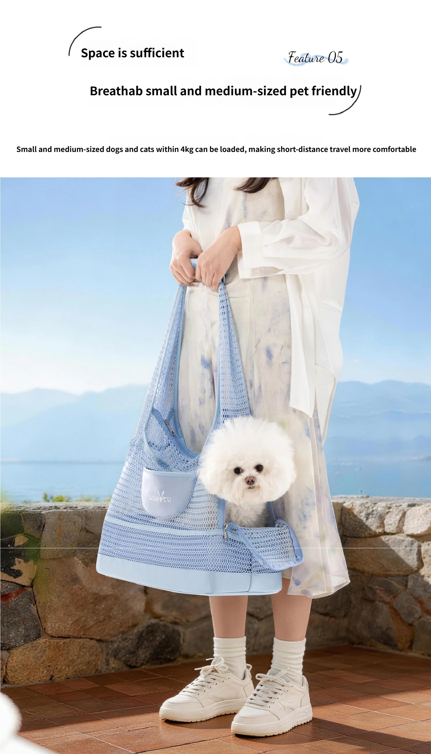 Breathable Mesh Pet Bag for Summer