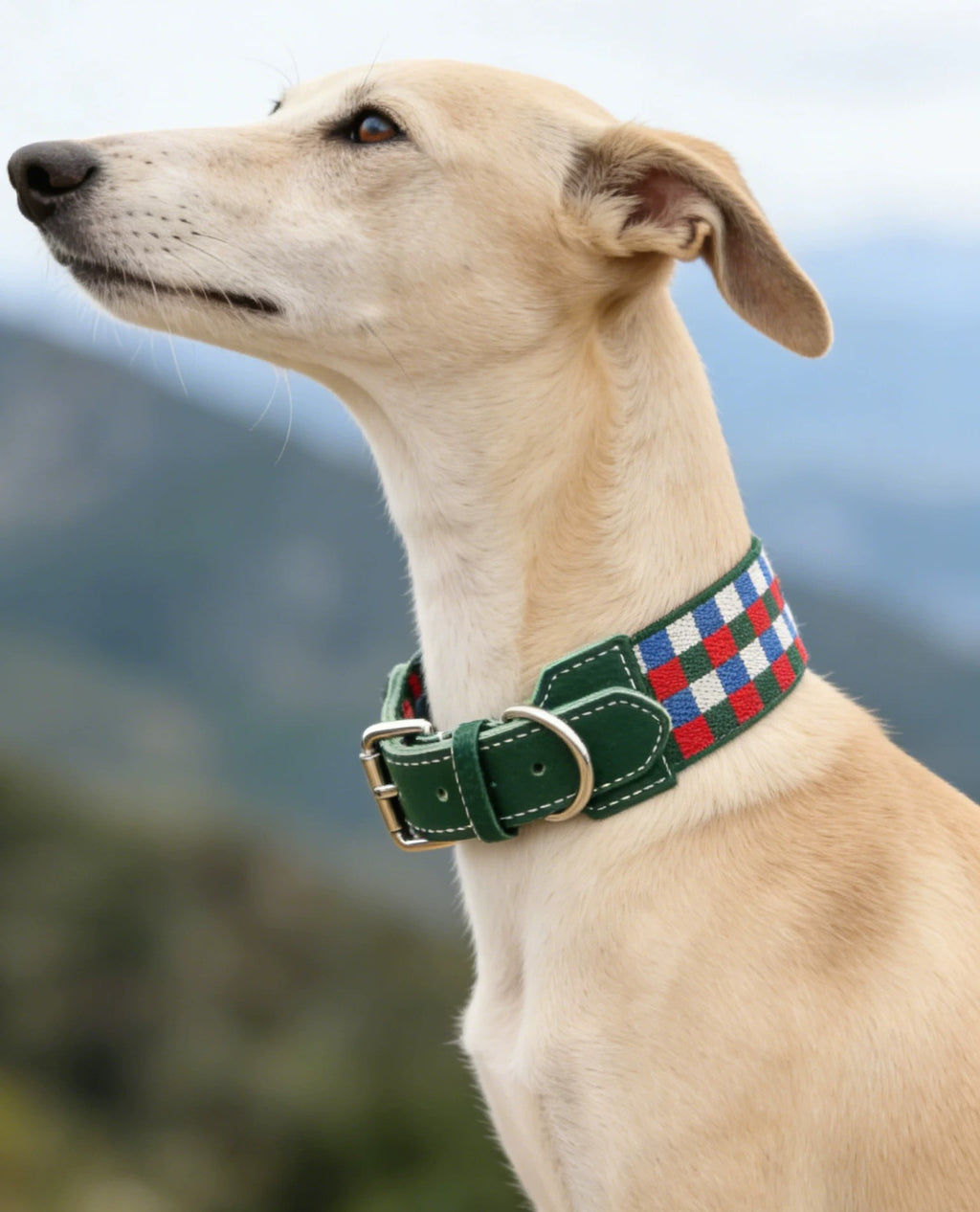 3.8cm Wide Genuine Leather Dog Collar Woven webbing Checkered Pet leash Boho style Adjustable Grid Dog Collar and leash