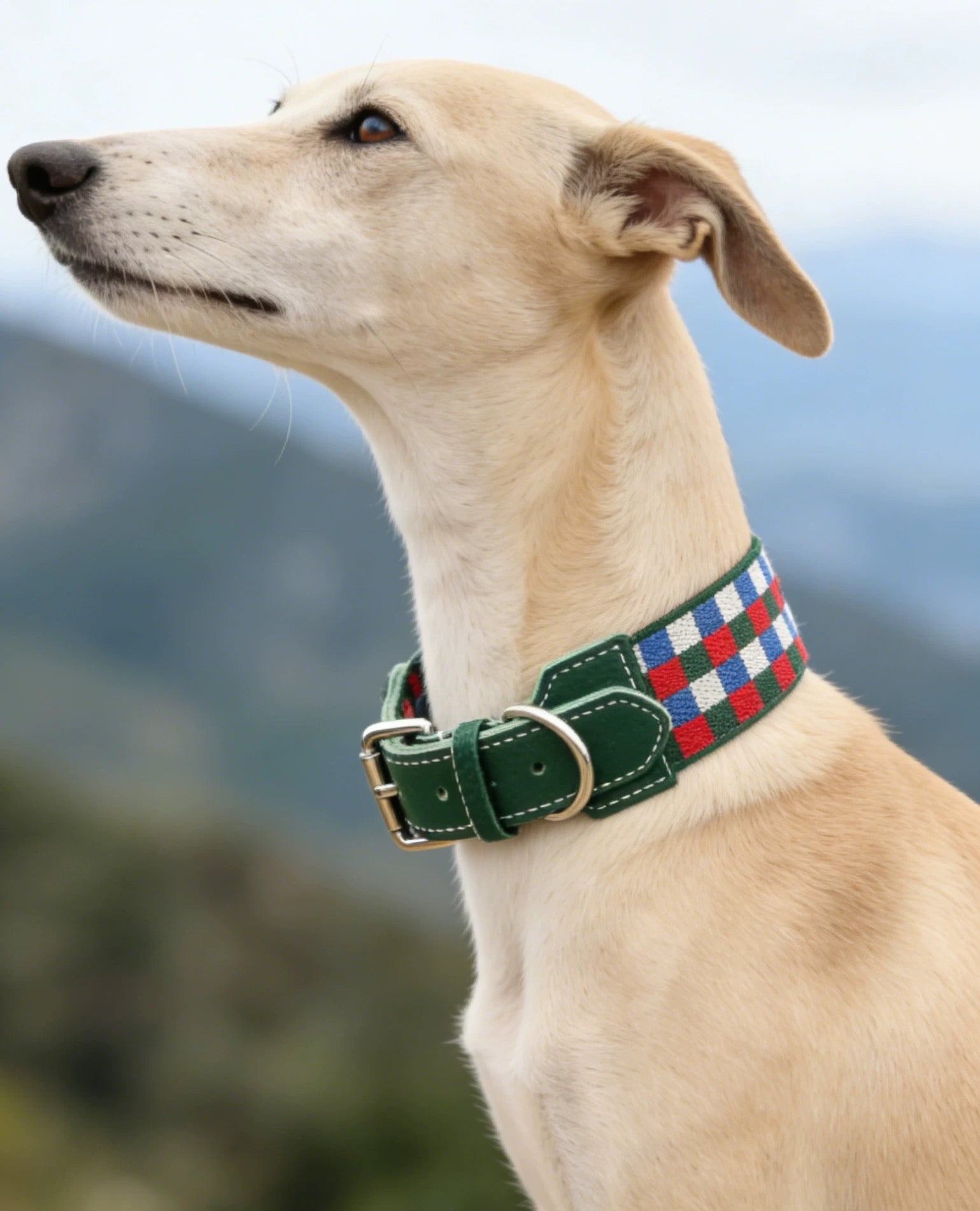 3.8cm Wide Genuine Leather Dog Collar Woven webbing Checkered Pet leash Boho style Adjustable Grid Dog Collar and leash