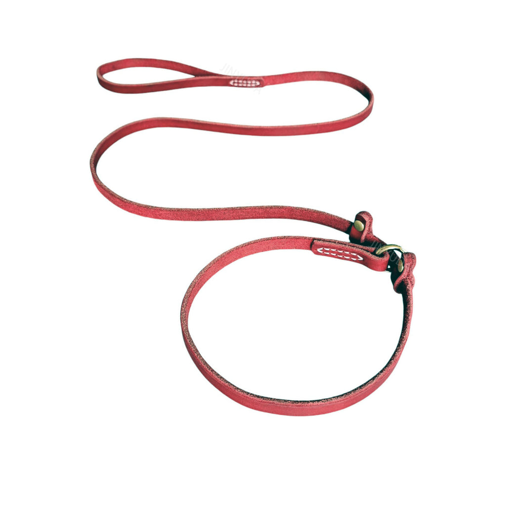 Genuine Leather Slip Lead Dog Training P Leash Anti Pull Close Control Walking Dog Lead Durable Real Leather Slip Collar Combined Dog Leash for Small Medium Large Dogs