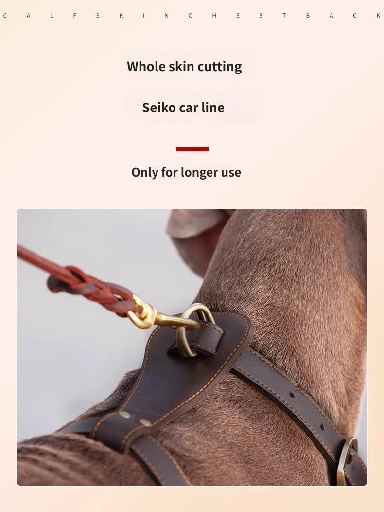 Genuine Leather Dog Harness Adjustable Heavy Duty No Pull Pet Walking Harness Leather Vest Harness for Medium Large Dogs