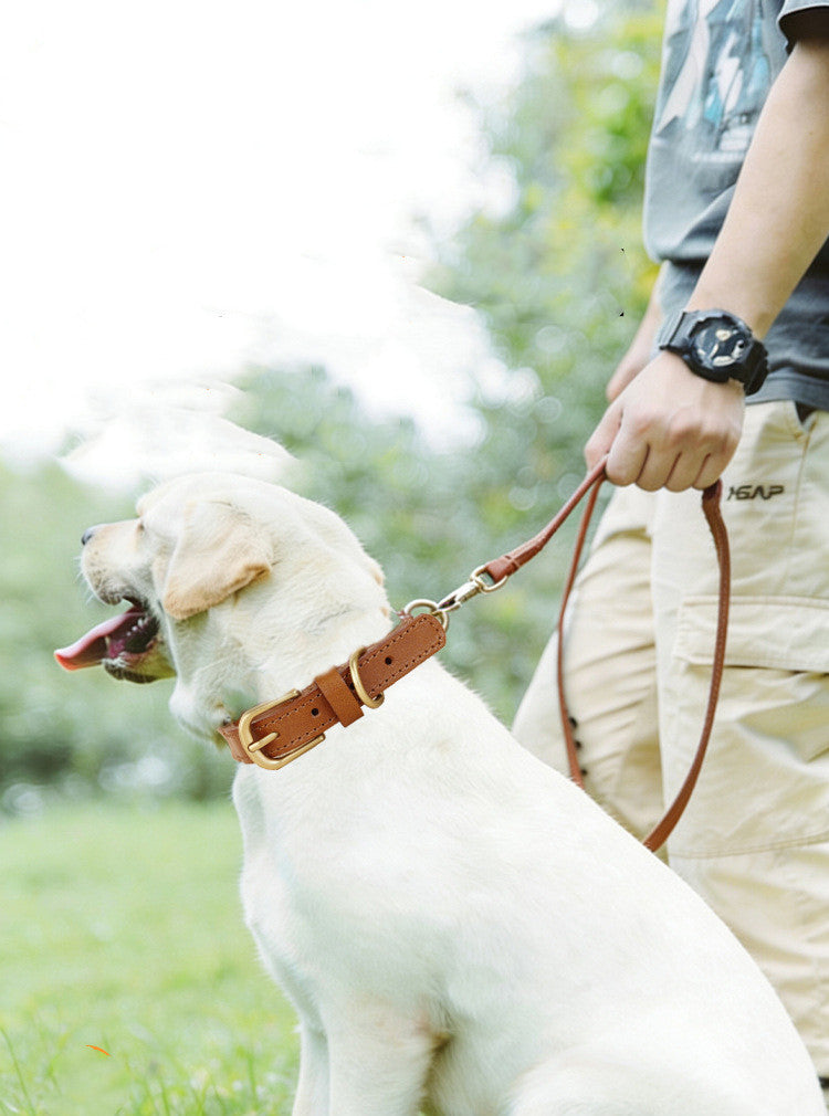 Vintage handmade Braided Genuine Leather Dog Collar Heavy Duty Anti-Pull Walking Pet Collar Premium Real Leather Collar