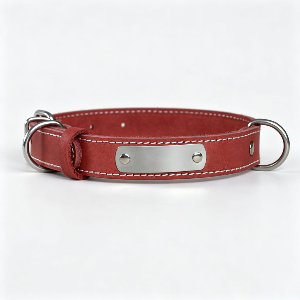 Genuine Leather Dog Collar with Custom Stainless Steel Name Plate Adjustable Heavy Duty Anti‑Pull Pet Collar for Daily Walking