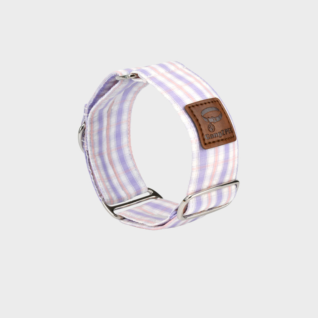 4cm wide Gingham Plaid Martingale Dog Collar No Pull Anti-Escape Training Collar for Whippet Italian Greyhound Sighthounds
