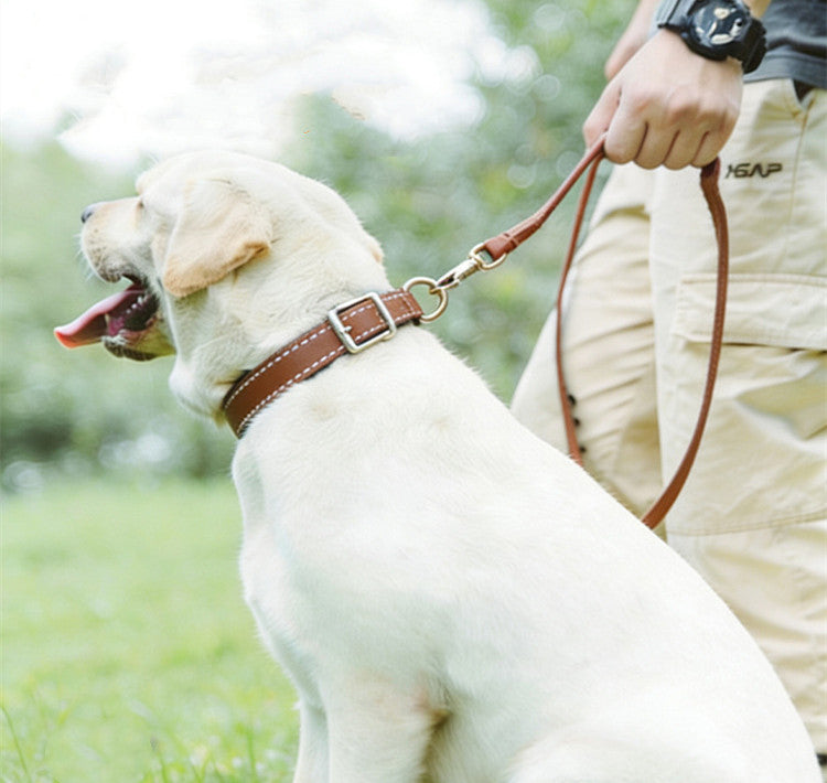 Genuine Cowhide Leather Dog Collar adjustable Two-Tone Leather Pet Collar for Small Medium Dogs adjustable dog walking collar
