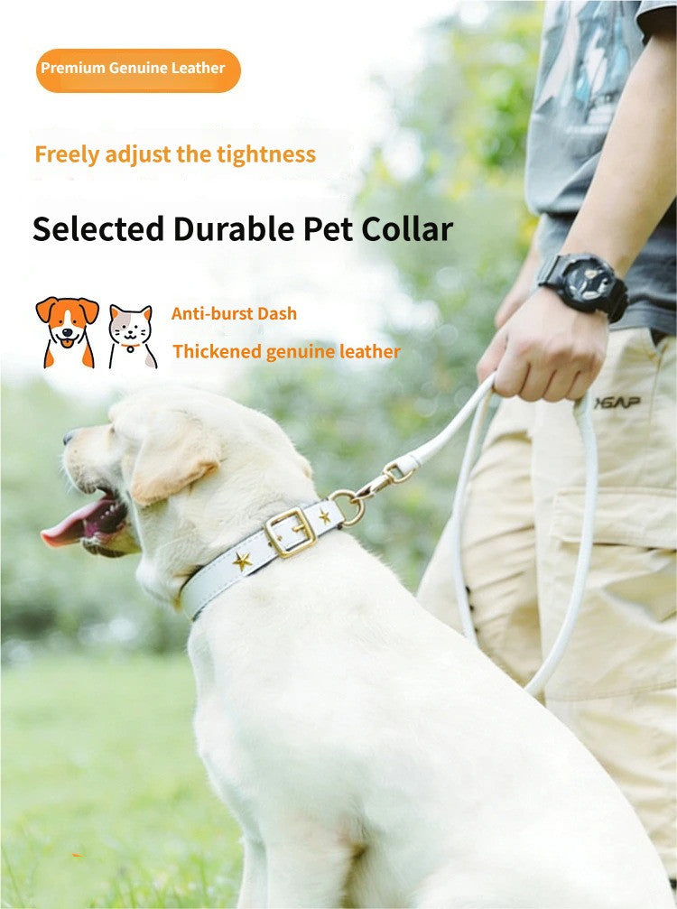 genuine Leather Pet Collar with Gold Metal Star Rivets Adjustable Soft Star Studded Leather Dog Collar wide Dog walking collar