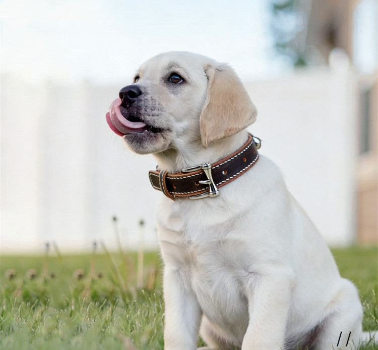 Genuine Leather Spiked Dog Collar Sharp Studded Anti-Bite Pet Collar Adjustable Heavy Duty Leather Collar for small medium dogs
