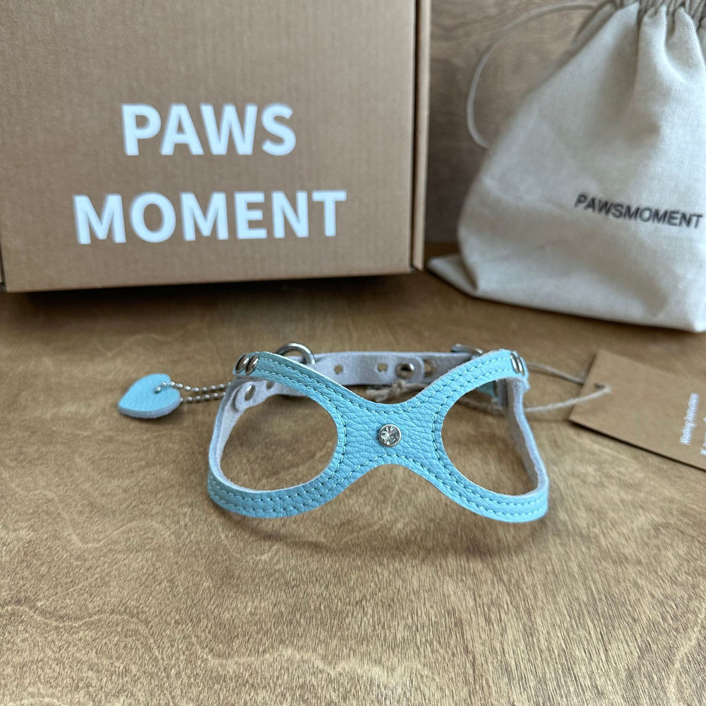 Genuine Leather Lightweight Pet Harness Cute Glasses Shaped Puppy Vest Harness with Heart Tag Adjustable Small Dog Cat Walking Harness