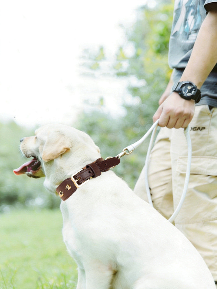 Genuine Leather Dog Collar with Gold Rivet Studs Adjustable Heavy Duty Collar for Small Medium Dogs pet walking training collar