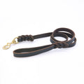 Genuine Leather Braided Dog Leash Heavy Duty Anti-Pull Walking Lead with Brass Hook Dog Training Leash for Daily Dog Walking