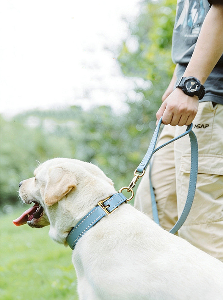 Soft Genuine Leather Dog Collar for Small Dogs handmade Adjustable dog collar with Gold Metal Buckle no-pull Pet Walking Collar