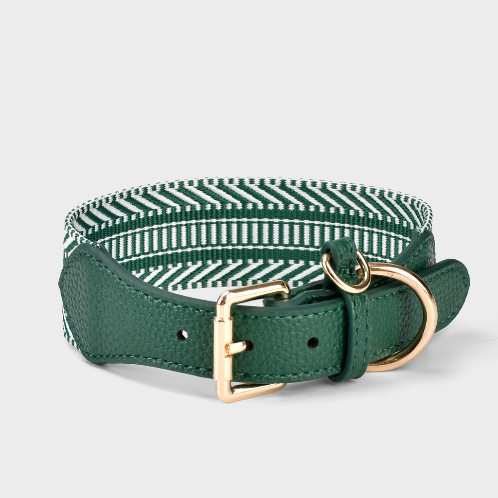 Wide striped Webbing Dog Collar and Leash Set Genuine Leather Trim Adjustable Pet Collar Jacquard Woven Boho Dog Collar