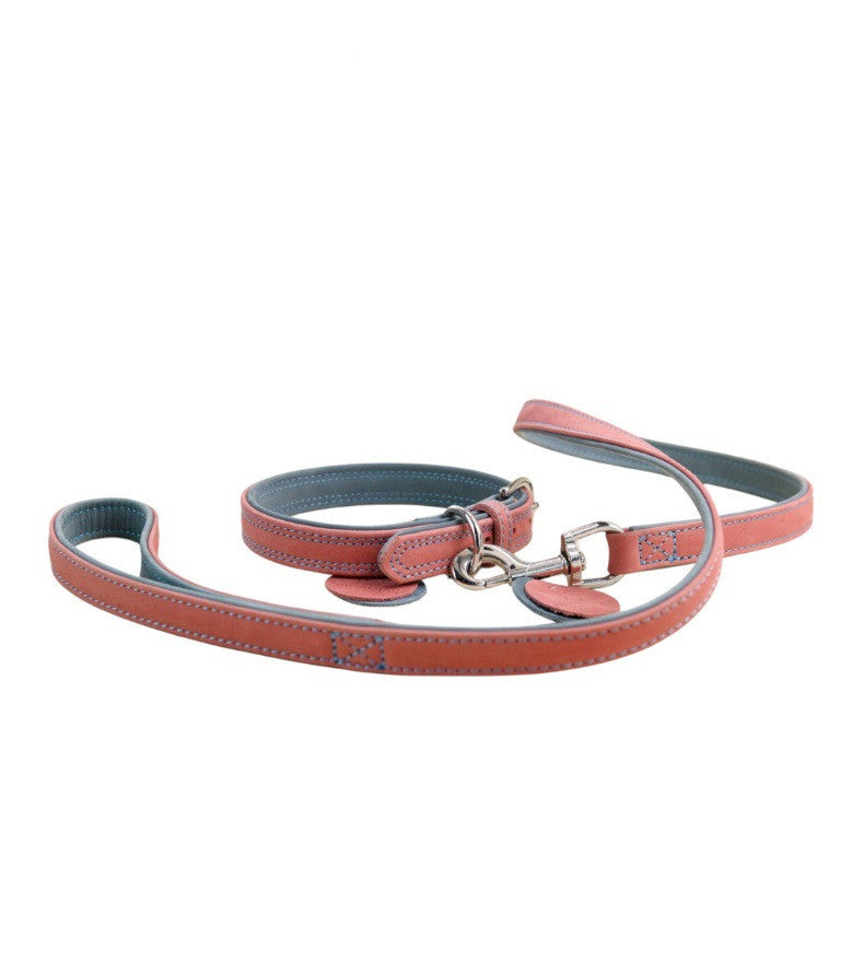 Frosted Genuine Leather Dog Collar and Leash Two-Tone Contrast Design Dog Leash with Dual Hooks dog walking collar and leash