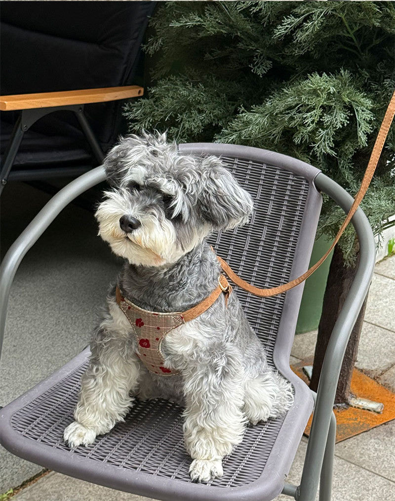 Cotton lace Dog Harness and Leash Set Plaid Lightweight pet vest harness Soft walking harness for small medium dogs
