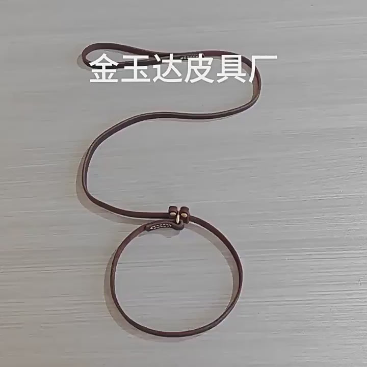 Genuine Leather Slip Lead Dog Training P Leash Anti Pull Close Control Walking Dog Lead Durable Real Leather Slip Collar Combined Dog Leash for Small Medium Large Dogs