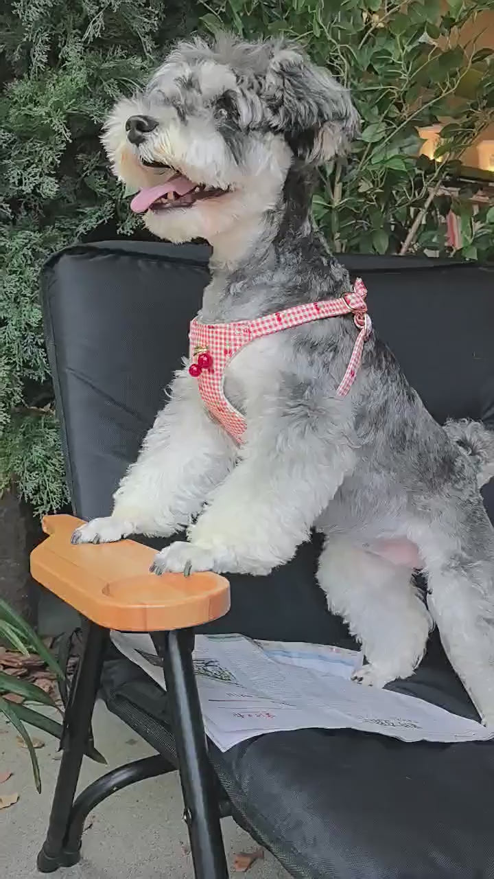 Cotton Dog Harness and Leash Set Plaid Cherry Pattern Lightweight pet vest harness Soft walking harness for small medium dogs