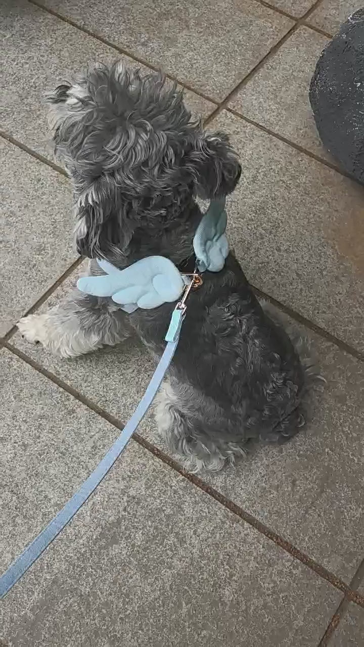 Dog Harness and Leash Set with Angel Wings & Bow Decor Lightweight pet vest harness Soft walking harness for small medium dogs