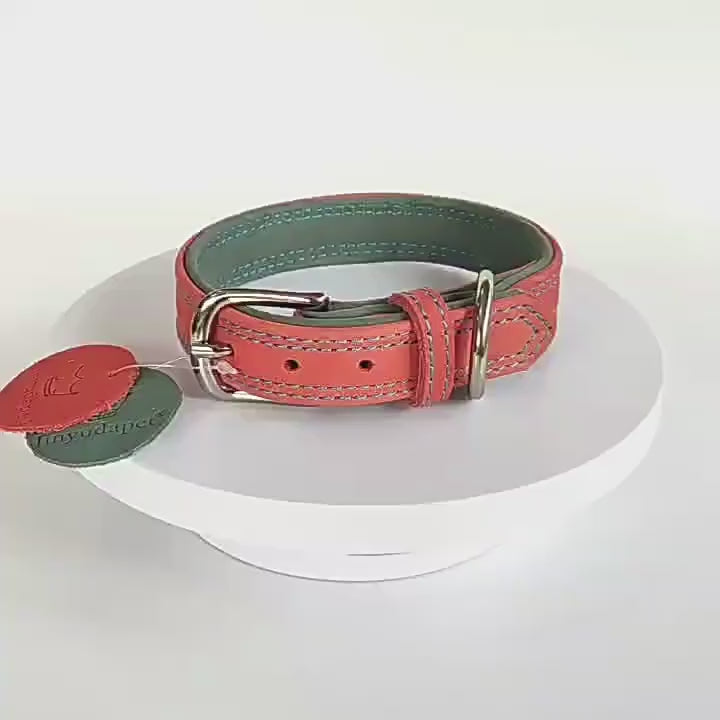 Frosted Genuine Leather Dog Collar and Leash Two-Tone Contrast Design Dog Leash with Dual Hooks dog walking collar and leash